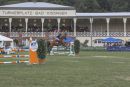 rakoczy reitturnier0825 Ben Kiesel 4576