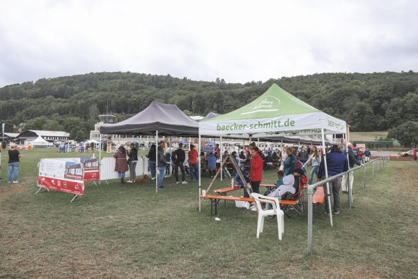 rakoczy reitturnier0825 Ben Kiesel 4659