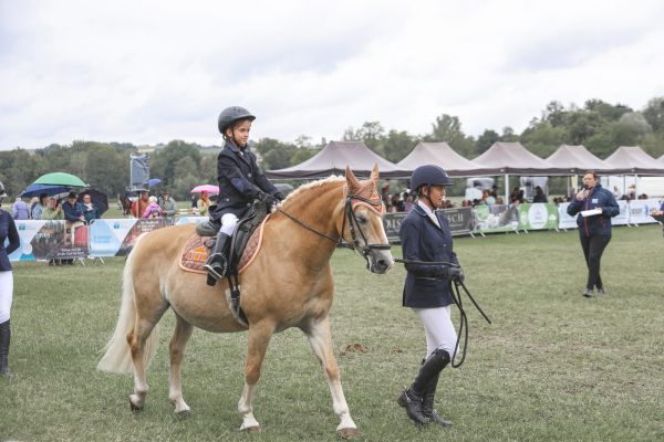 rakoczy reitturnier0825 Ben Kiesel 4802