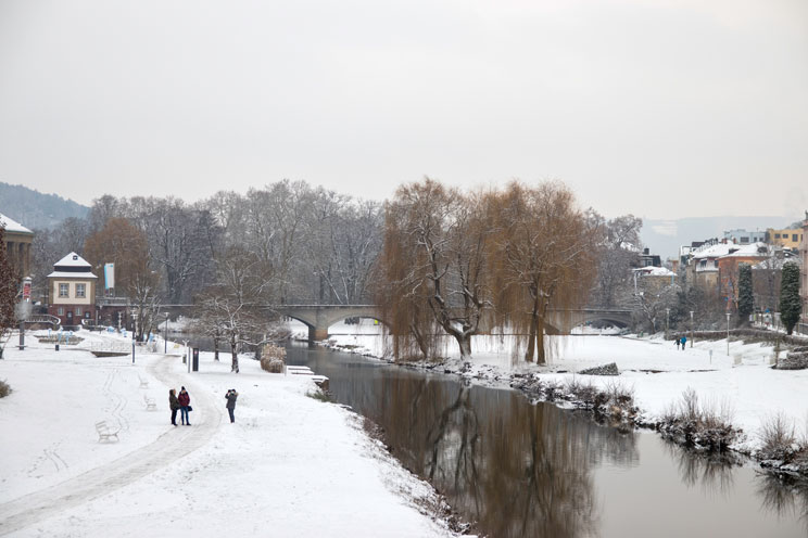 Foto im Winter Rosengarten Saale